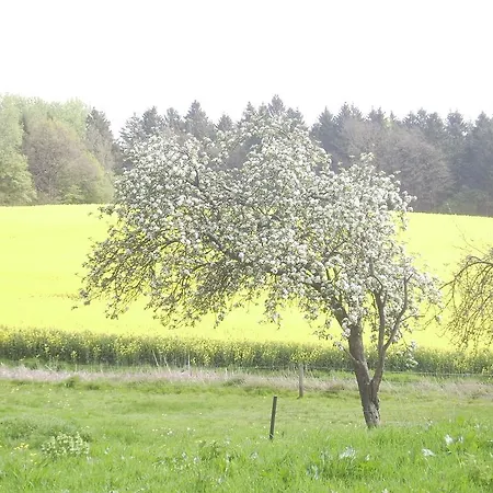 Hof Rodenkrog * Luetjenburg