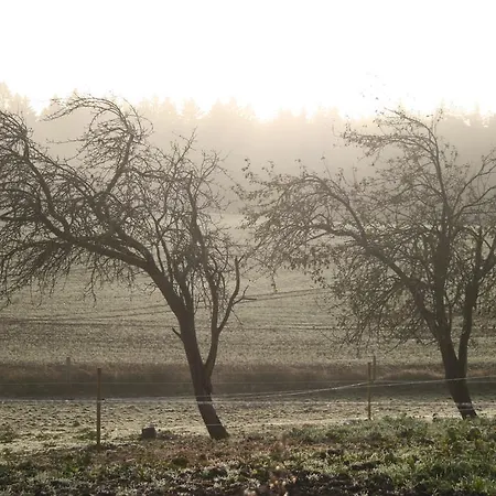 Hof Rodenkrog * Luetjenburg
