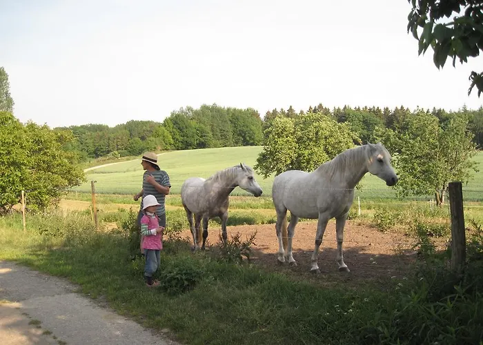 Hof Rodenkrog Lütjenburg