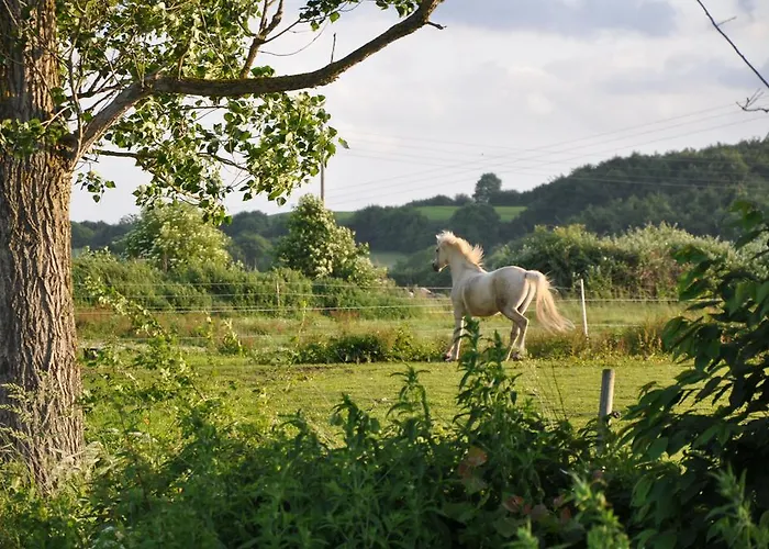 Hof Rodenkrog * Lütjenburg