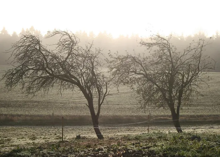 Hof Rodenkrog * Lütjenburg
