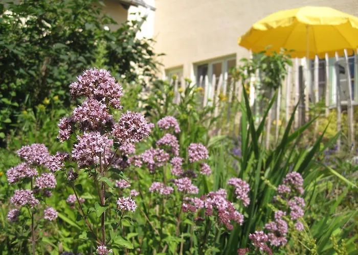 Hof Rodenkrog Apartamento Lütjenburg